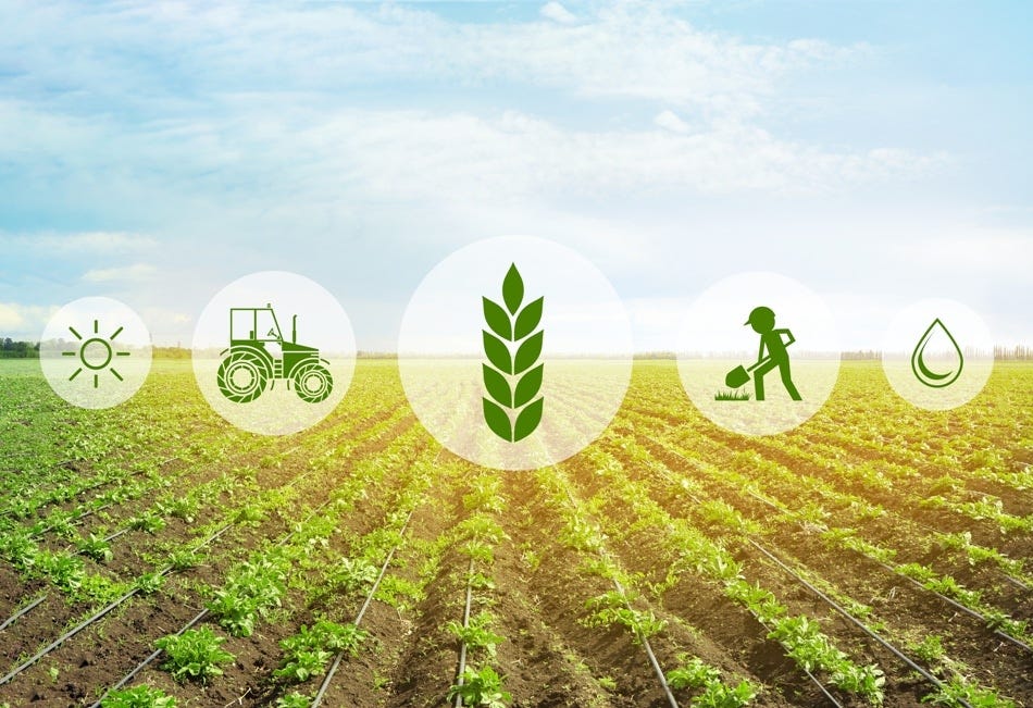 Sustainable Agriculture